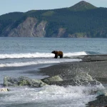 Rusiyanın Xabarovsk bölgəsində güclü zəlzələ oldu