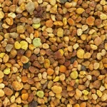 Alimlərdən maraqlı kəşf: Propolis piylənmənin təsirlərini yüngülləşdirir