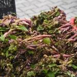 Müharibəyə gedən əsgərlər istifadə edirmiş – Faydası say-say bitmir