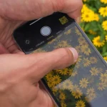 “iPhone”da şəkillərin keyfiyyətini yaxşılaşdıran gizli funksiya tapılıb