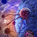 Xərçəngin dərmanı TAPILDI – Bu heyvan imiş